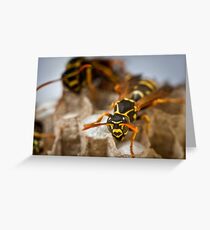 Brooding Greeting Card