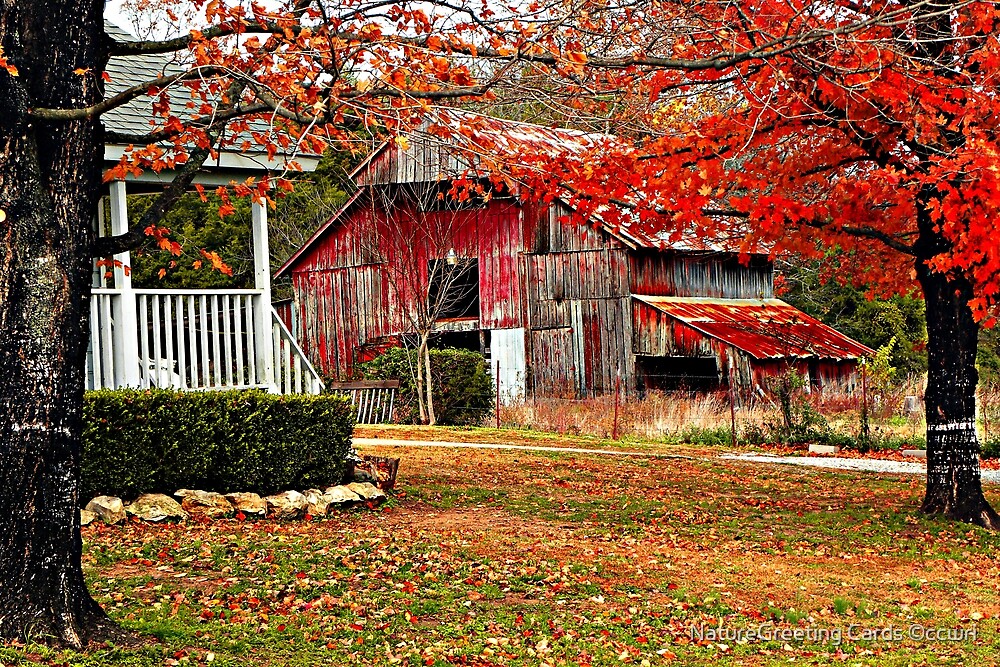 Liven In The Ozarks By Naturegreeting Cards ©ccwri Redbubble