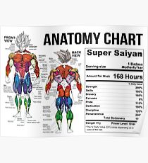 Gym Posters | Redbubble