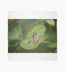 Butterfly with nice wing design Scarf