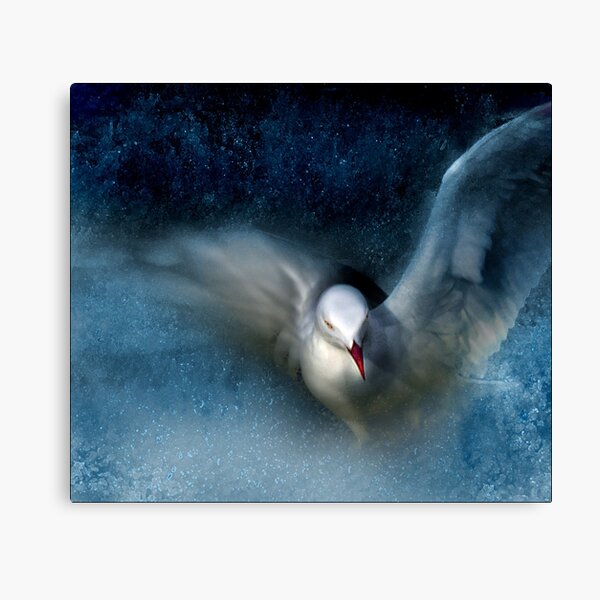 grace Canvas Print