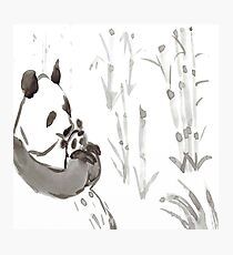 Panda Sumi-e Photographic Print