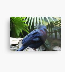 Victoria Crowned Pigeon Metal Print