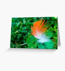 a feathers touch Greeting Card