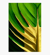 Die Goldene Mitte Photographic Print