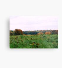 Farm Field Metal Print