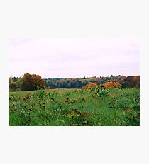 Farm Field Photographic Print