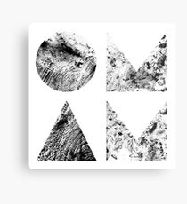 Beneath the Skin Metal Print