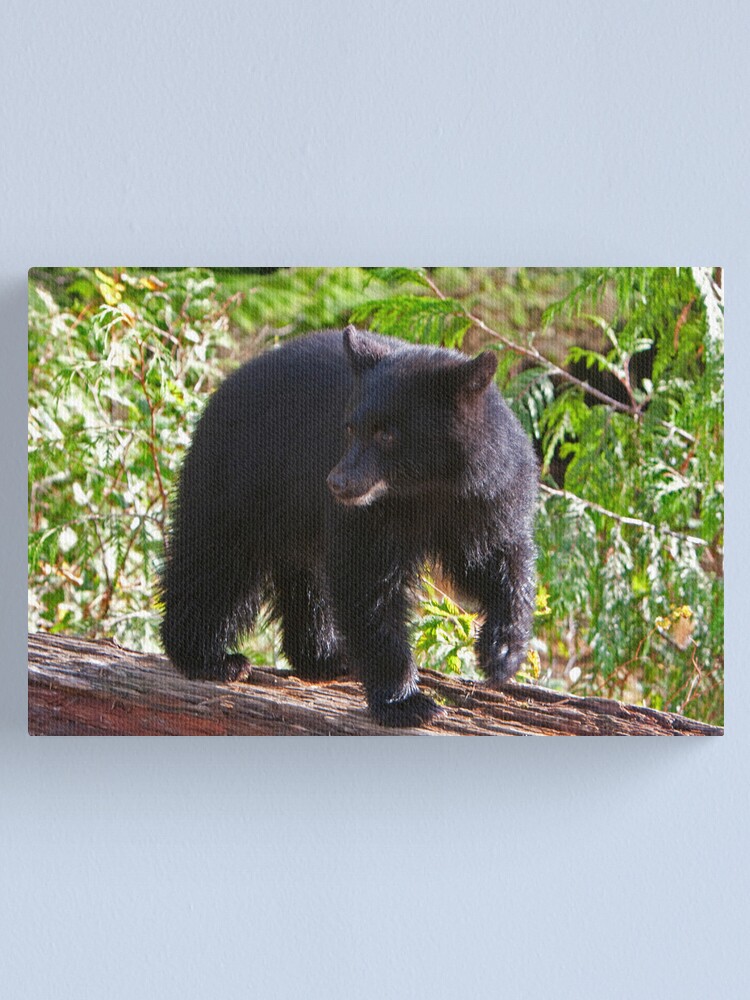 Alternate view of "Where's my Mom?" Canvas Print