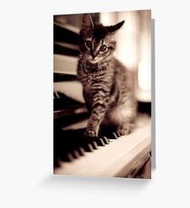 World Class Pianist... Greeting Card