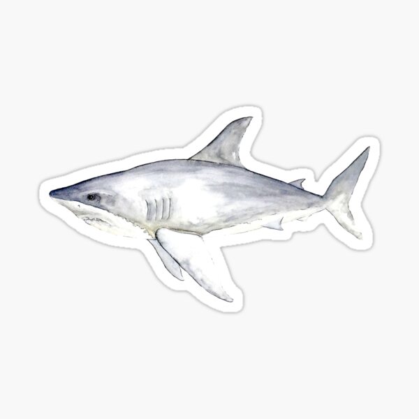 Great White Shark Sticker