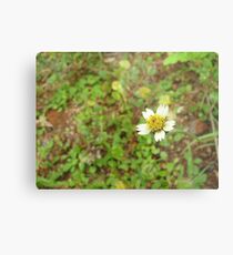 Lonely Metal Print