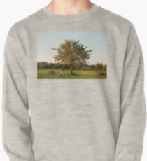 madikwe tree, south africa Pullover