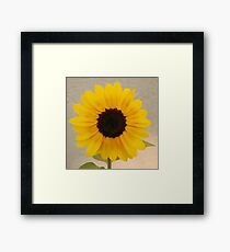 radiant Framed Print