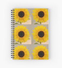 radiant Spiral Notebook