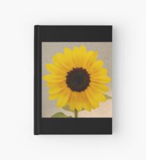 radiant Hardcover Journal