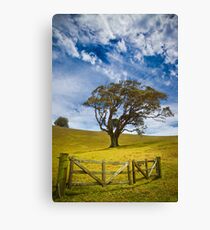 Earth and Air Canvas Print