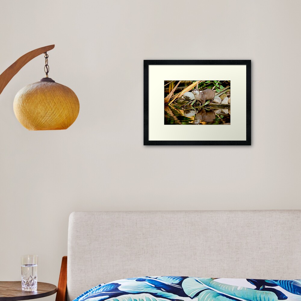 Oriental Small-clawed Otter Framed Art Print