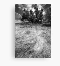 brush stroke Canvas Print