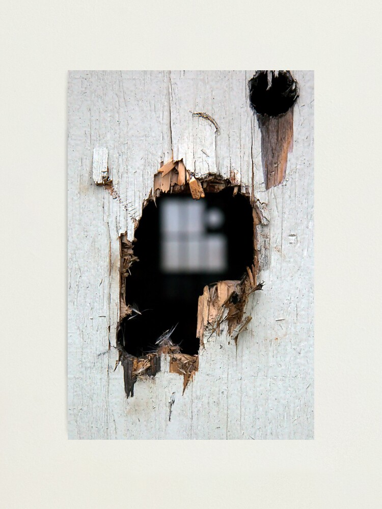 Alternate view of Dereliction Photographic Print