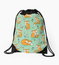 Dreamy Fox in Green Drawstring Bag