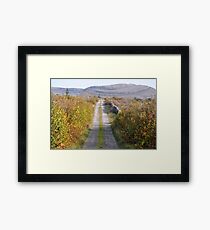 Mullaghmore in Autumn Framed Print