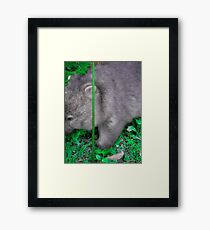 split screen Framed Print