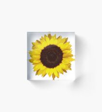 Sunflower Acrylic Block