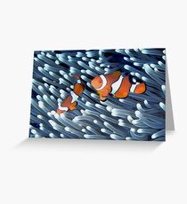 Clownfish Greeting Card