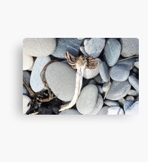 Driftwood Angel Canvas Print