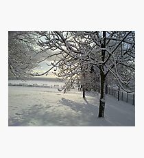 Heavy with Snow Photographic Print