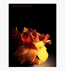 EVOCATIVE Photographic Print