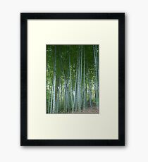 Bamboo Forest Framed Print