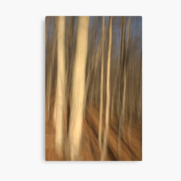 November At Lake La Su An Canvas Print