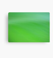 Envy Canvas Print