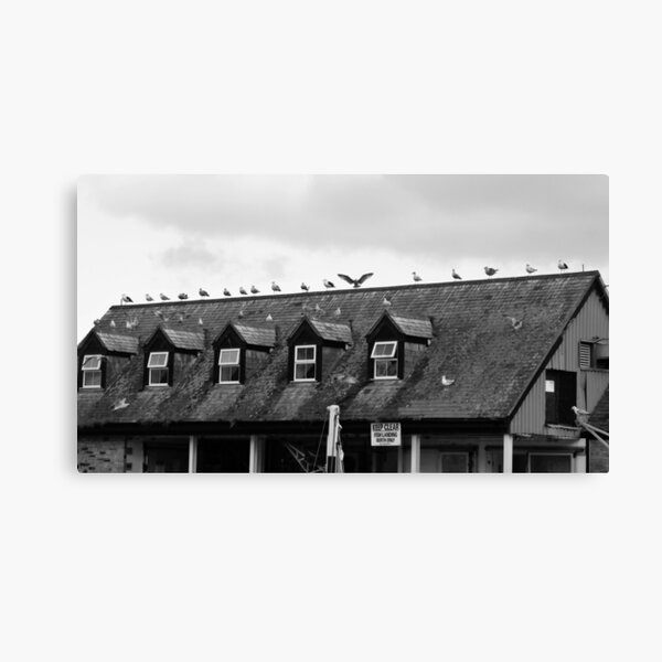 Gull Angel Canvas Print