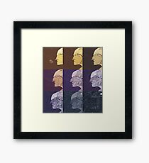 Evolution Framed Print