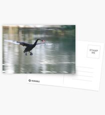 Landing Gear Postcards