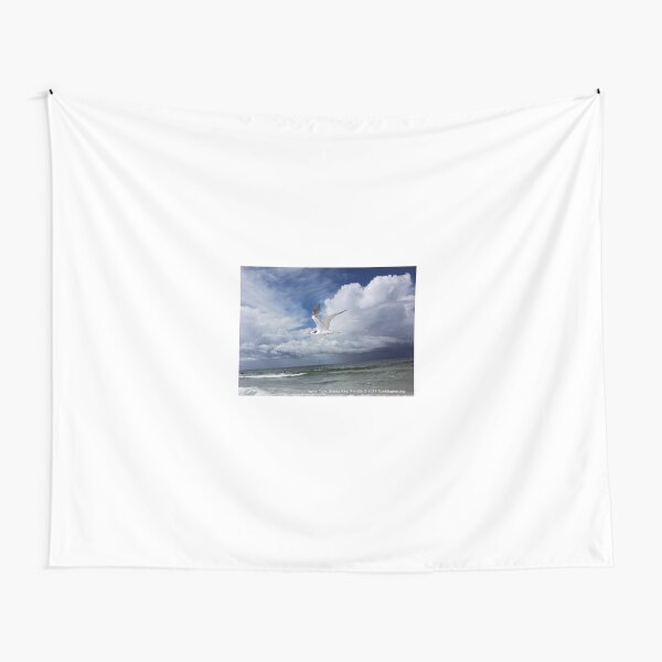 Royal Tern Tapestry