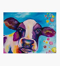 Cow Face Photographic Print