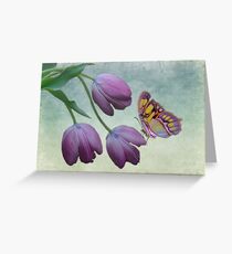 Butterfly Beauty Greeting Card