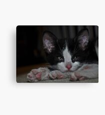 " Pixel " Canvas Print