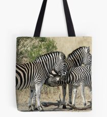 Young zebra suckling! Tote Bag