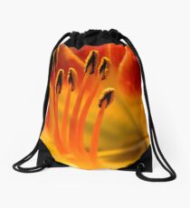 Queen for a Day ^ Drawstring Bag