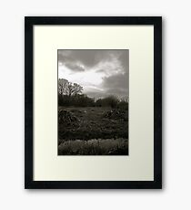 Habitat Framed Print