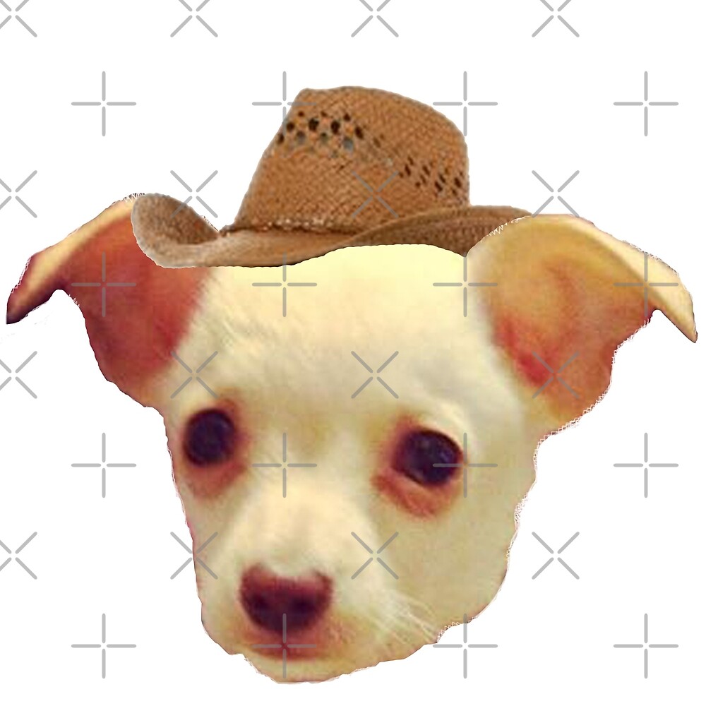 “Chihuahua in a Cowboy Hat” by megsiev | Redbubble