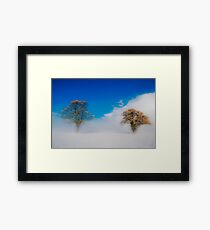 Snowstorm Framed Print
