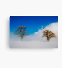 Snowstorm Canvas Print