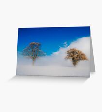 Snowstorm Greeting Card