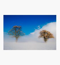 Snowstorm Photographic Print